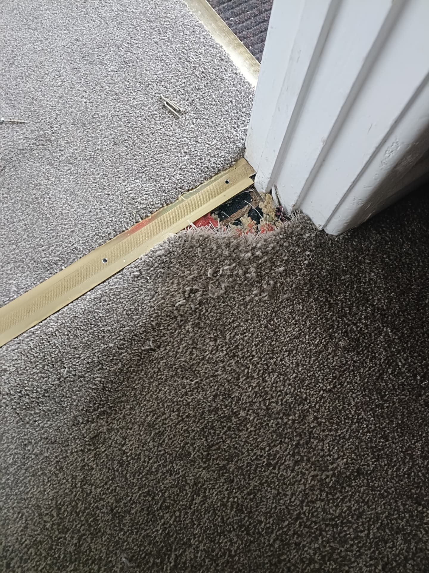 Carpet repair by a doorway threshold in Rotherham, before professional cleaning