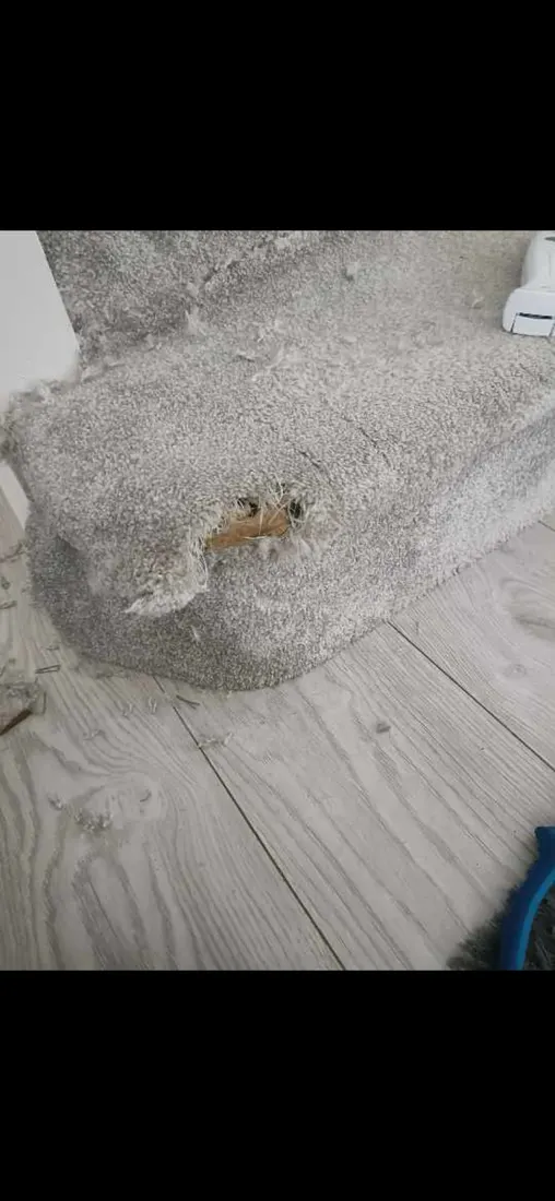 Carpet repair on stairs in Rotherham, before professional cleaning